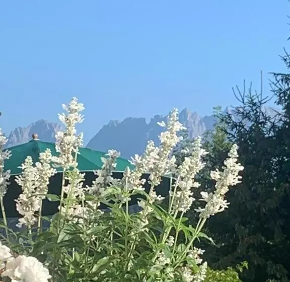 Bed and Breakfast Pension Hinterseer