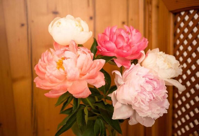 민박 Pension Knoll