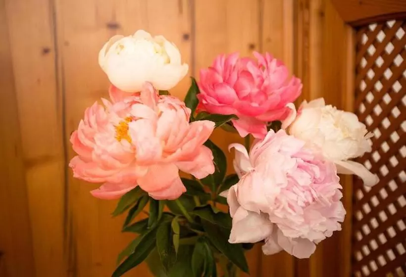 ベッドアンドブレックファースト Pension Knoll