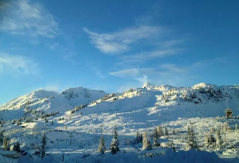 Отель Alpenland