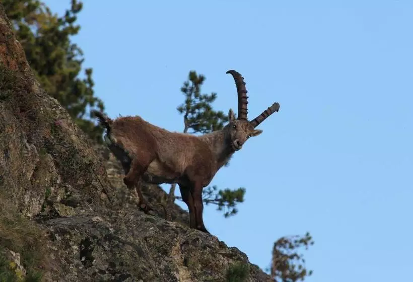 호텔 Apart Gletscherblick