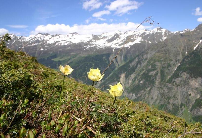 Отель Apart Gletscherblick