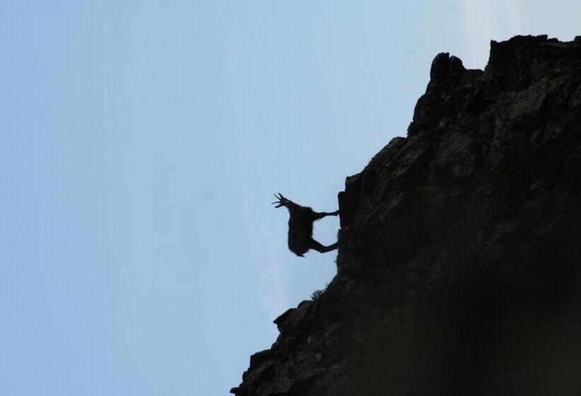 Отель Apart Gletscherblick