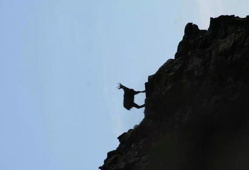 호텔 Apart Gletscherblick