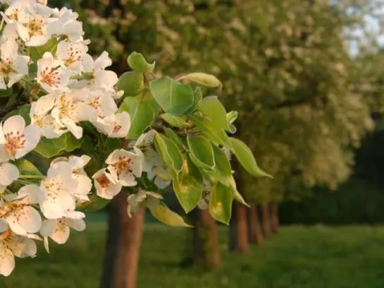 Bauernhof Edtbergerhof