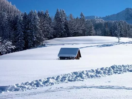 Bauernhof Schilift-hotz