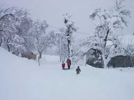 Bauernhof Schilift-hotz