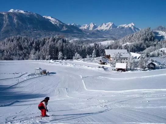 Bauernhof Schilift-hotz