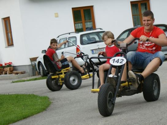 Bauernhof Schilift-hotz