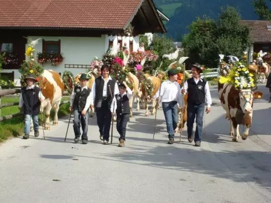 Bauernhof Stolzenhof