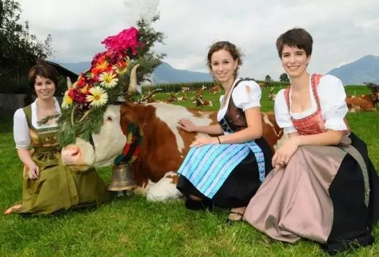 Bauernhof Stolzenhof