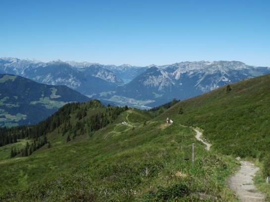 Bauernhof Stolzenhof