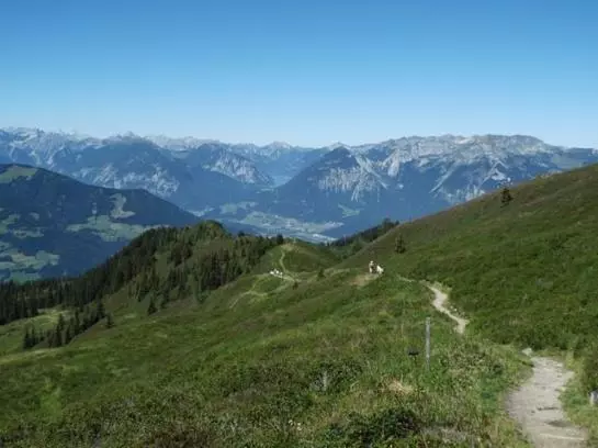 Bauernhof Stolzenhof