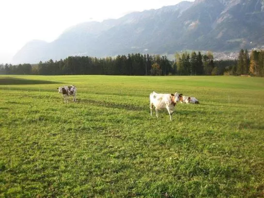 Bauernhof Tuschnhof
