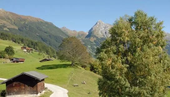 Пансион Berggasthaus Steinerkogl