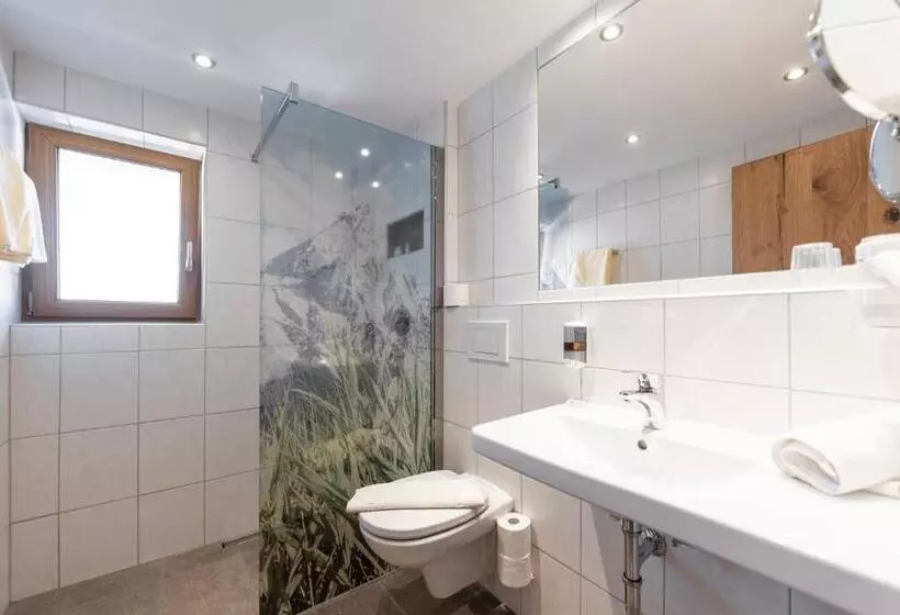 Отель Apart Haus Alpenhof