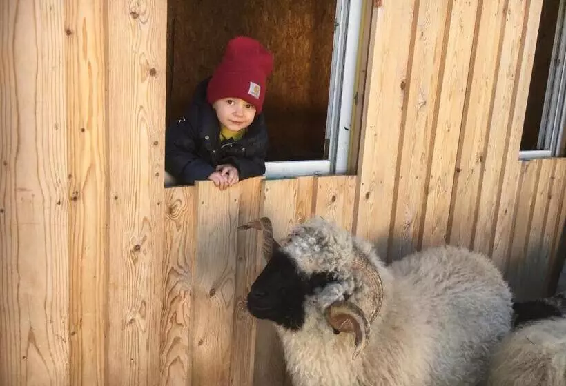 Отель Haus Schuchter