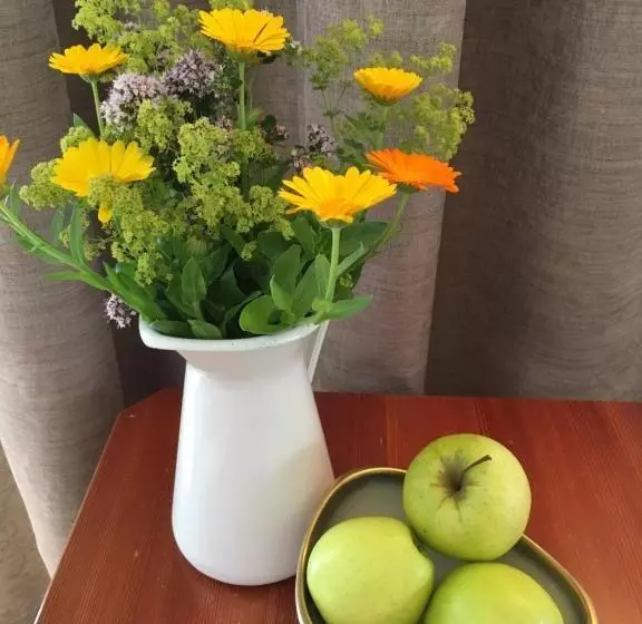 Отель Haus Schuchter