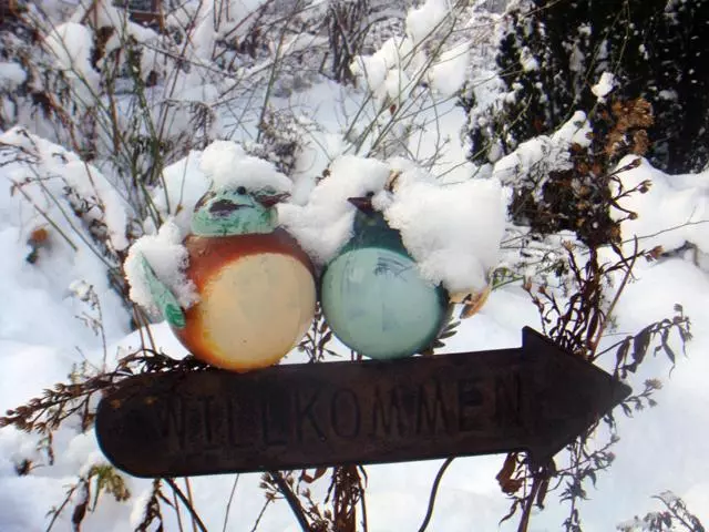 Отель Haus Schuchter