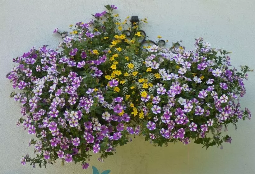 בית מלון כפרי Haus Susanne