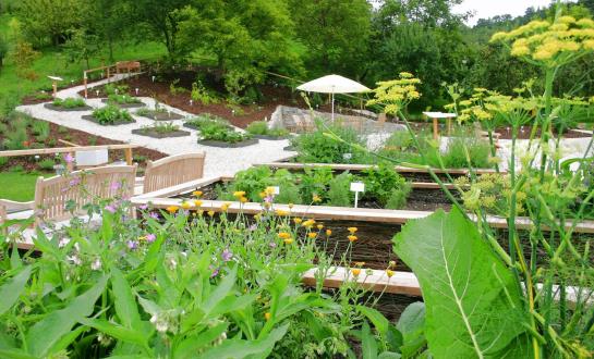 ホテル Kneipp Kurhaus Bad Muehllacken