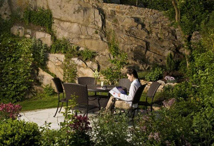 酒店 Landgasthof Zur Schönen Wienerin