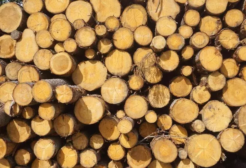 ホテル Pension Tyrol