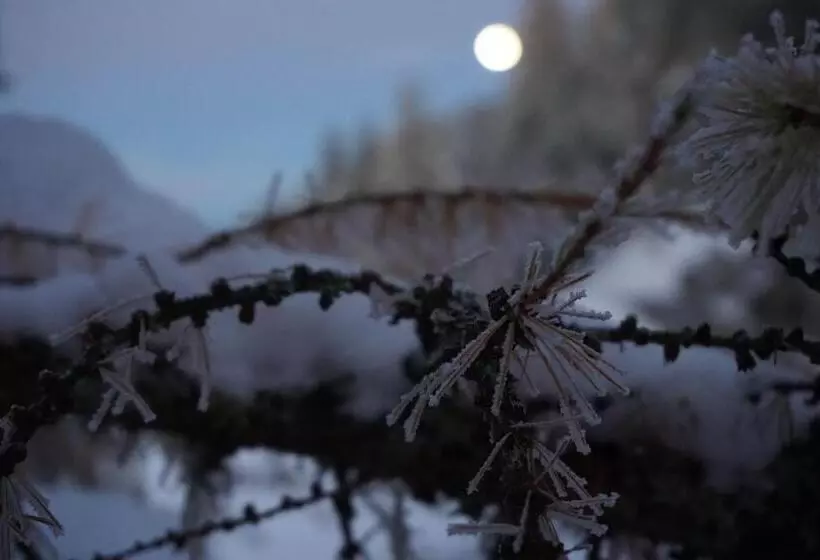 ホテル Pension Tyrol