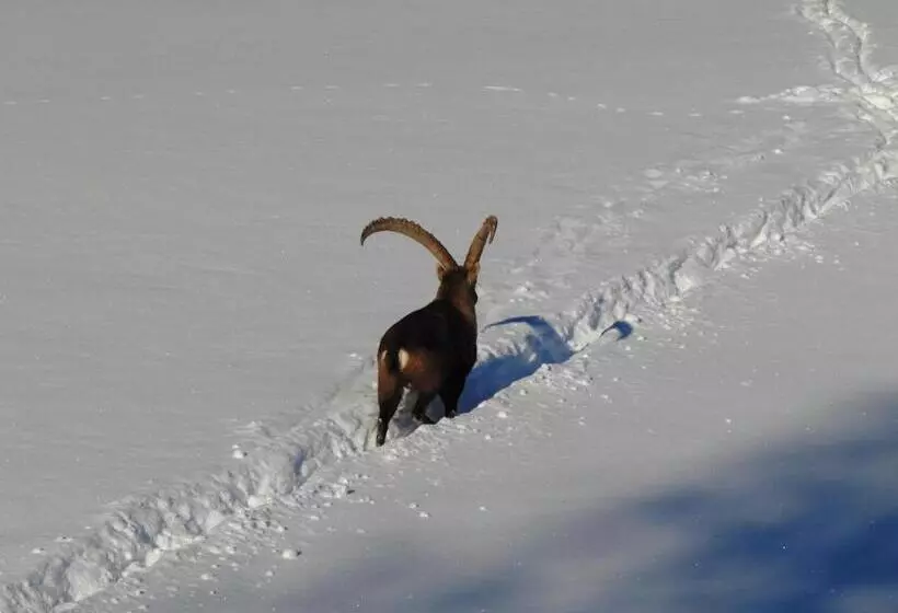 ホテル Ramsaueralm