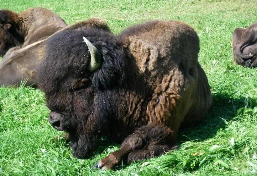 ホテル Ramsaueralm