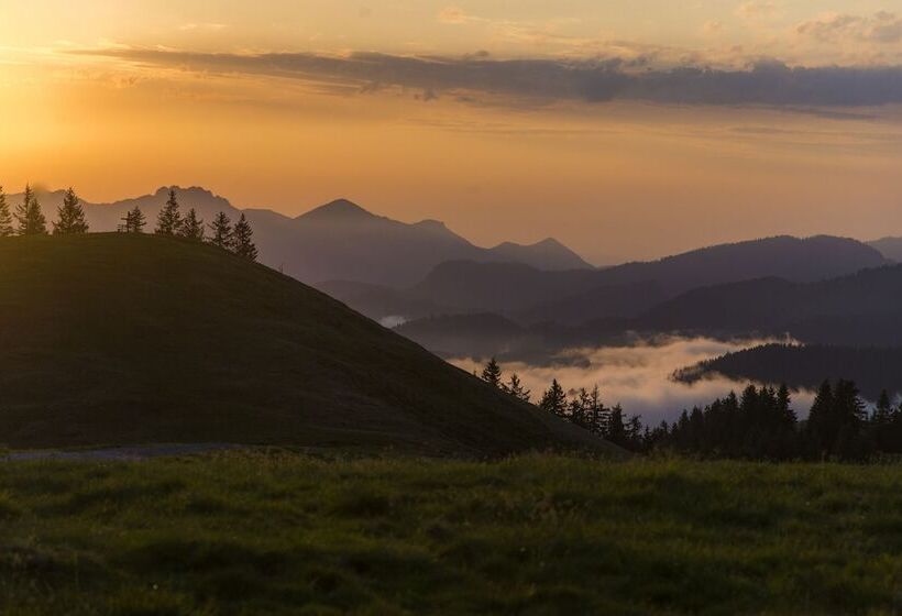 ホテル Saliter Hof