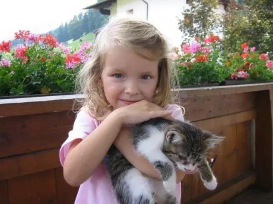 Aamiaismajoitus (B&B) Soellbacherhof Pension