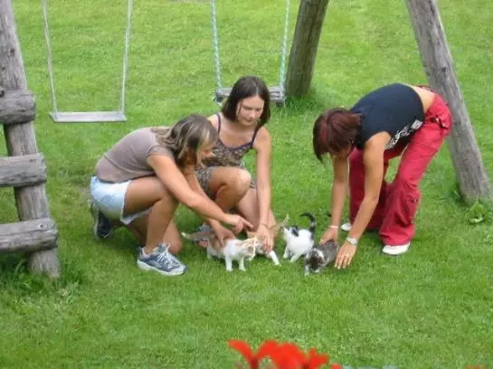 Aamiaismajoitus (B&B) Soellbacherhof Pension