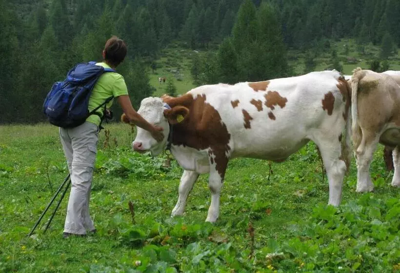 Отель Stabentheiner Hof