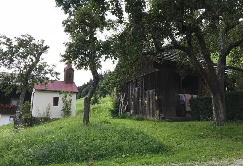 Отель Stabentheiner Hof