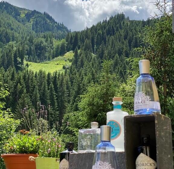 Residenz Hochalm Ski In Ski Out