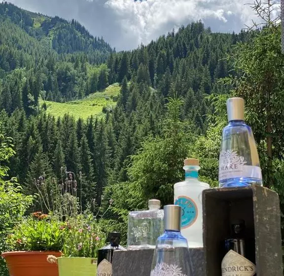 Residenz Hochalm Ski In Ski Out