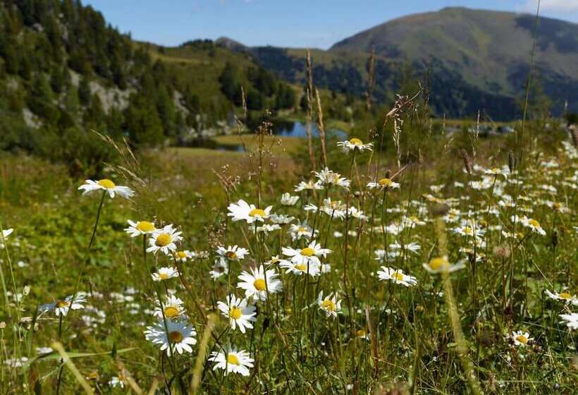 Schi  Und Wanderhotel Berghof