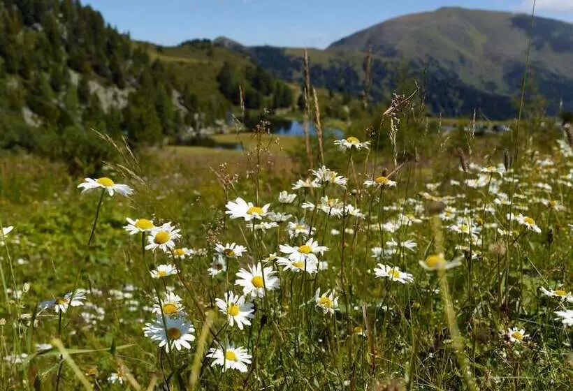 Schi  Und Wanderhotel Berghof