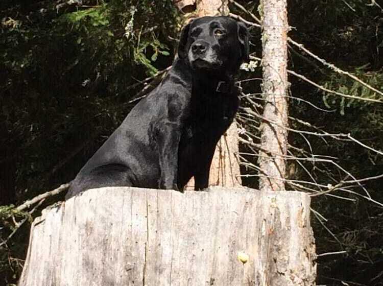 Schi  Und Wanderhotel Berghof