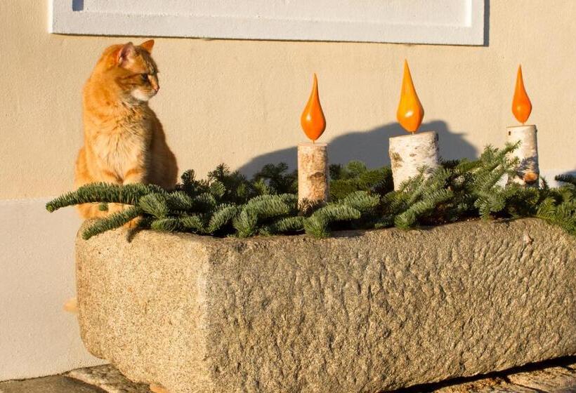 Bed and Breakfast Bauernhofpension Herzog Zu Laah