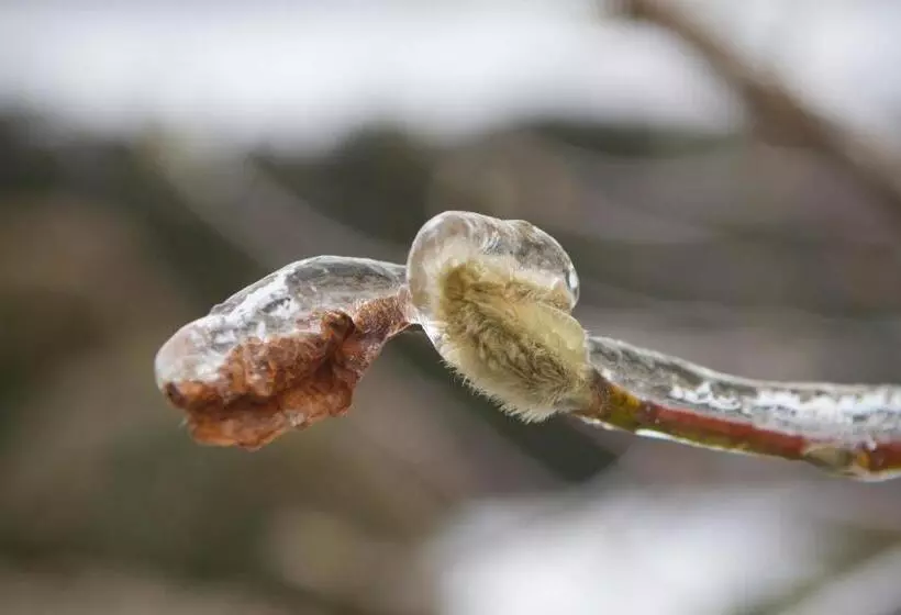 민박 Bauernhofpension Herzog Zu Laah