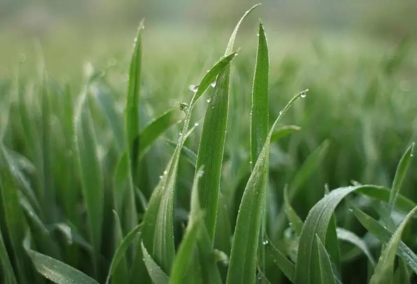 민박 Bauernhofpension Herzog Zu Laah