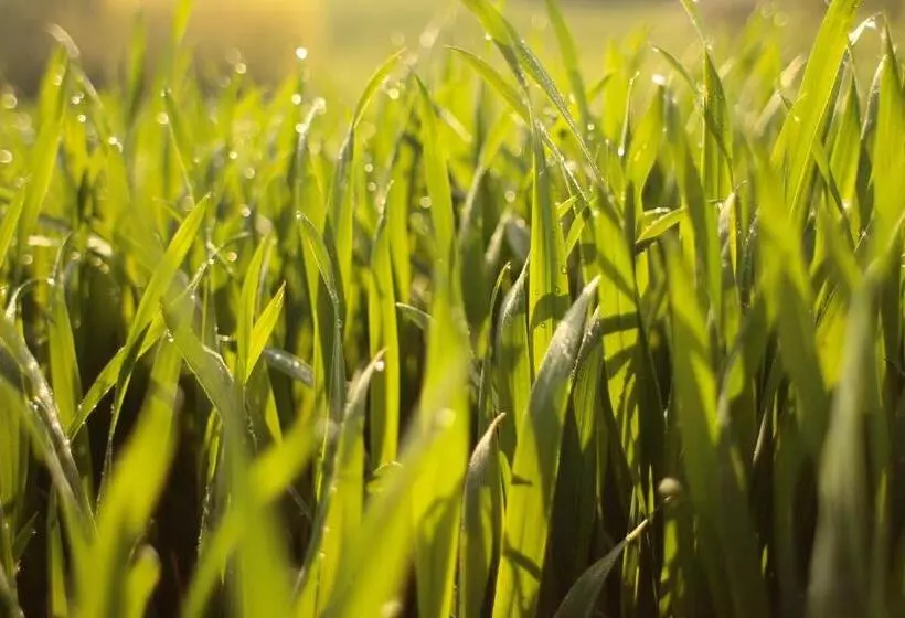 민박 Bauernhofpension Herzog Zu Laah