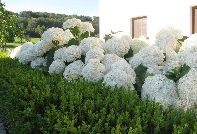 Bed and Breakfast Bauernhofpension Herzog Zu Laah