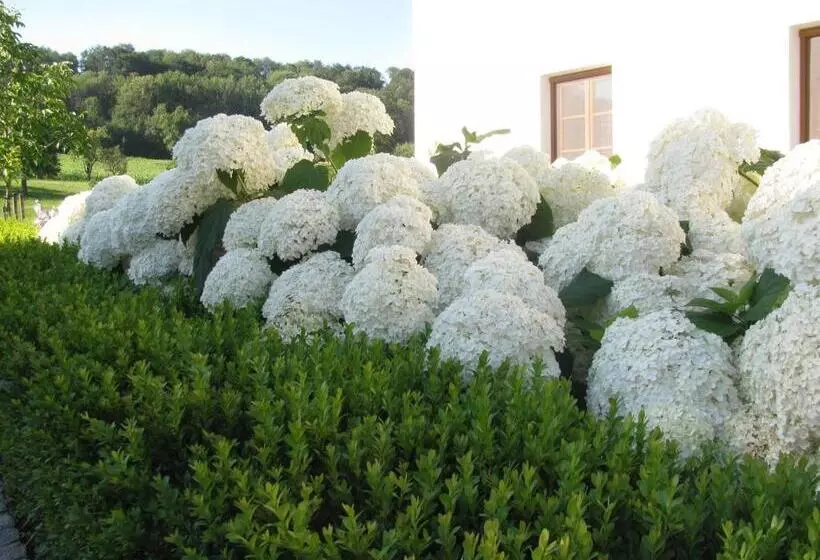 민박 Bauernhofpension Herzog Zu Laah