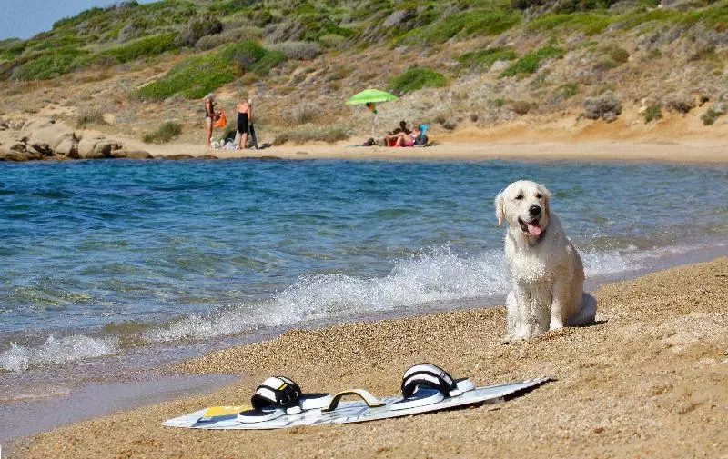 Capo D'orso Residence