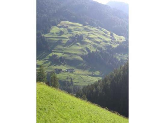 ホテル Alfenalm Huette Oberschaller