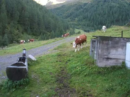 ホテル Alfenalm Huette Oberschaller