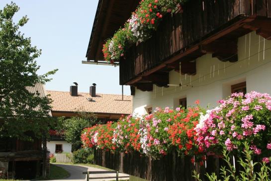 Bauernhof Draschlerhof